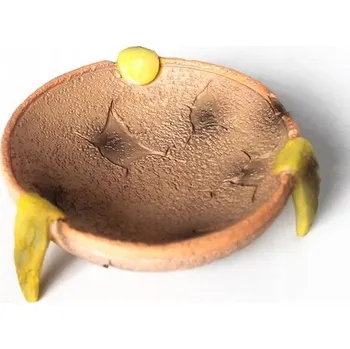 Miska pro psa Miska Misa Rzymska na krmivo a vodu do terária agama želva ptáček ozdoba