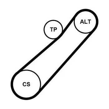 Sada žebrovaných klínových řemenů CONTINENTAL CTAM 7PK880K1