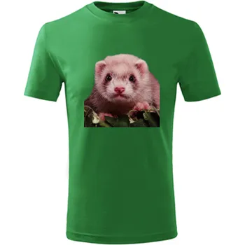 Chlapecké tričko Zelené dětské tričko s fretkou - barva zelená - velikost 6let