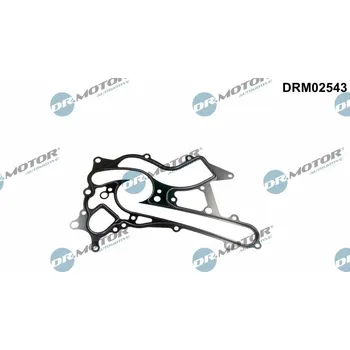Těsnění motoru Těsnění, vodní čerpadlo Dr.Motor Automotive DRM02543