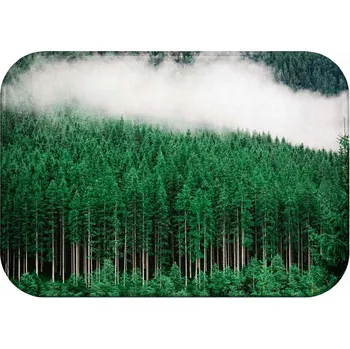 Koupelnová předložka KOUPELNOVÁ PŘEDLOŽKA | MĚKKÁ 60X40 ANTYPOŚLIZGOWA STYLOWA PRYSZNIC MATA VZ