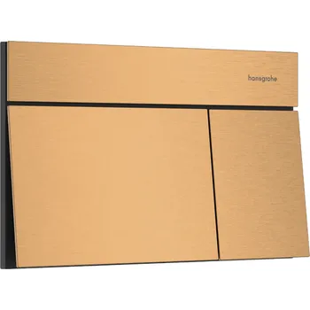 Splachovací tlačítko Hansgrohe iFrame Element E - Ovládací tlačítko pro dvojité splachování, kartáčovaný bronz 66003140
