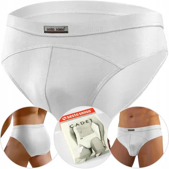 Pánské spodní prádlo Pánské slipy z mikromodalu Cadet bílé Sesto Senso (L)