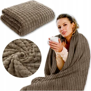 Prostěradlo Deka Łóżkoholicy z mikrovlákna 200 cm x 220 cm béžová