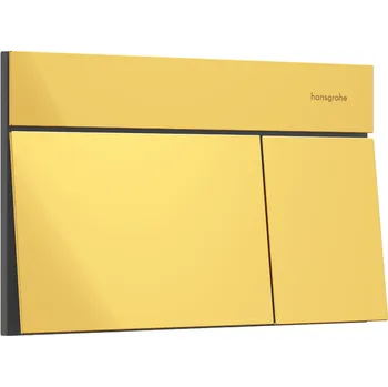 Splachovací tlačítko Hansgrohe iFrame Element E - Ovládací tlačítko pro dvojité splachování, leštěný vzhled zlata 66003990