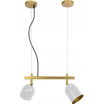 Závěsné svítidlo TOOLIGHT Reflektor 2-bodové světlo E27