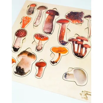 Dřevěná hračka Druhy hub, dřevěné puzzle, lesní vzdělávání, druhy hub