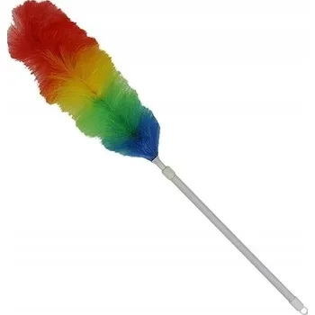 Prachovka KOŠTĚ NA PRACH PRACHOVKA TELESKOPICKÉ DLOUHÉ