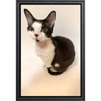 Obraz Rámeček na jedno foto Marek i Darek 30 x 20 cm