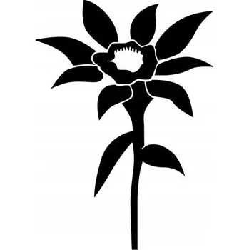 Samolepící dekorace Samolepka na stěnu polní květina