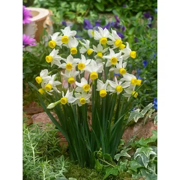 Dámská bunda CANALICULATUS White-Yellow 8/10