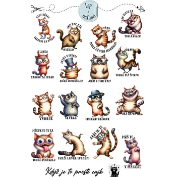 samolepka SAMOLEPKY MOTIVAČNÍ KOČKY - KDYŽ JE TO PROSTĚ CAJK 2