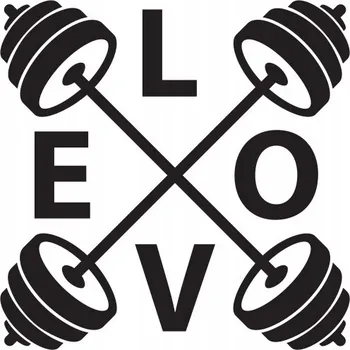 Samolepící dekorace Samolepka Samolepka na stěnu s motivem wrestlingu 45x30cm