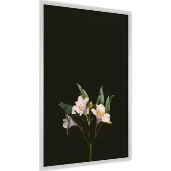 Obraz Plakát KVĚTY Lilie na Černém Pozadí 3D Efekt 30x40