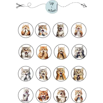 samolepka SAMOLEPKY KOČKY - MOTIVACE ZŠ 1