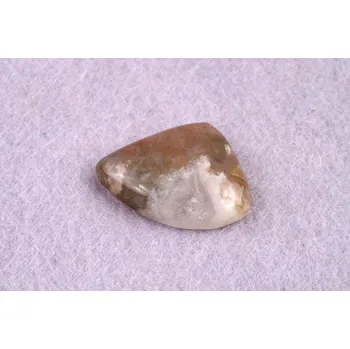 Korálek Kabošon Tree Agate č.2598 (24x18x6mm)