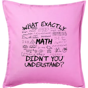 Polštář What exactly didnt you understand - Math - Polštář 50x50 - 50x50 - Pouze potah ( Růžová )