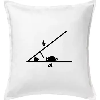 Polštář Matematická myš - Polštář 50x50 - 50x50 - Pouze potah ( Bílá )