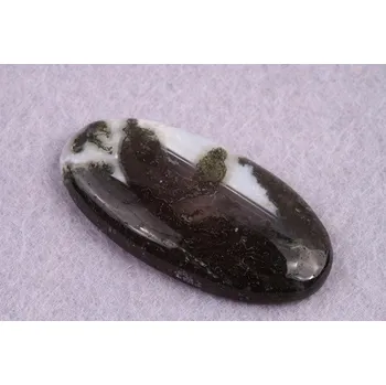 Korálek Kabošon Tree Agate č.2579 (41x21x6mm)