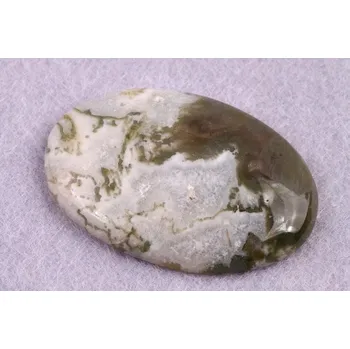 Korálek Kabošon Tree Agate č.1724 (42x29x6mm)