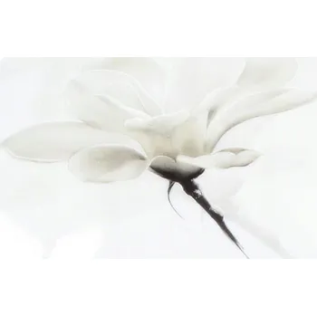 Miska Lubiana Venus porcelán 1000 ml