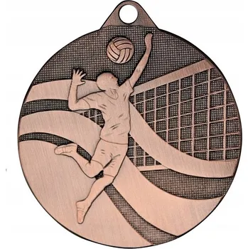 Obraz MDX212-B Ocelová medaile - VOLEJBAL - barva