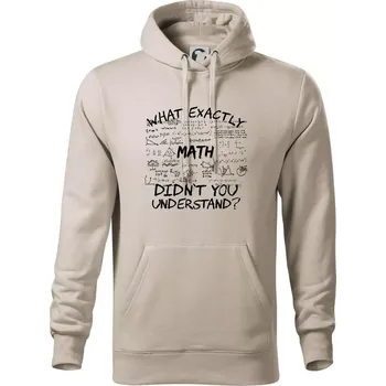 Pánská mikina What exactly didnt you understand - Math - Mikina pánská Cape s kapucí - S ( Ledově šedá )