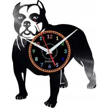 Hodiny ZEGAR ŚCIENNY PITBULL - DEKORATIVNÍ MODERNÍ HODINY Z VINYLOVÉ DESKY