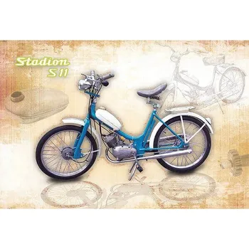 Obraz Plechová cedule 30 x 20 cm Stadion S11