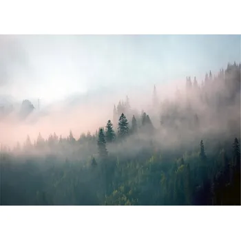 Fototapeta Fototapeta LES V mlze DO ložnice obýváku Příroda tapeta NA zeď 400x280