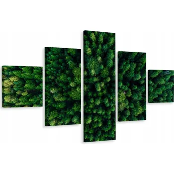 Obraz Vícedílný obraz Les Pohled z ptačí perspektivy 3D 200x120