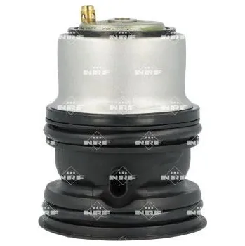 Těsnění motoru Termostat, chladivo NRF 725432