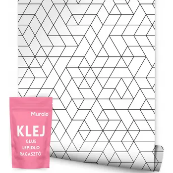 Fototapeta Tapeta GEOMETRICKÁ - Abstrakce /199429206