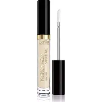 Korektor Korektor s aplikátorem pro dokonalé krytí Delia Cosmetics Skin Defined, odstín béžová, 3 g