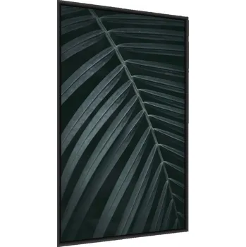 Obraz Plakát na zeď Palmový list Strom Dekorace 30x40