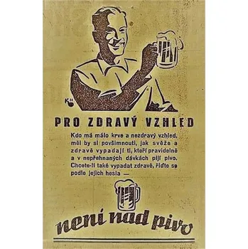 Obraz Cedule Pro zdravý vzhled - není nad pivo