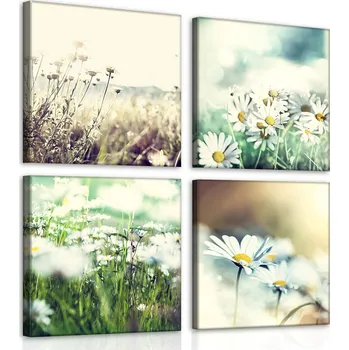 Obraz Postershop Obraz na plátne: Sedmikrásky - set 4ks 25x25cm