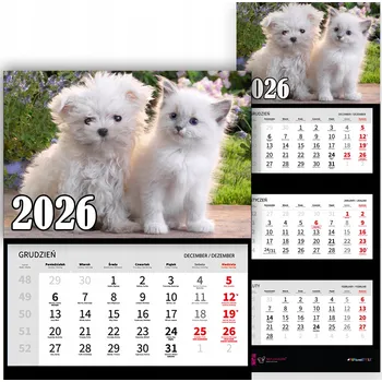 Kalendář TRÍDÍLNÝ NÁSTĚNNÝ KALENDÁŘ 2026 PES A KOČKA ZVÍŘATA RŮZNÉ VZORY