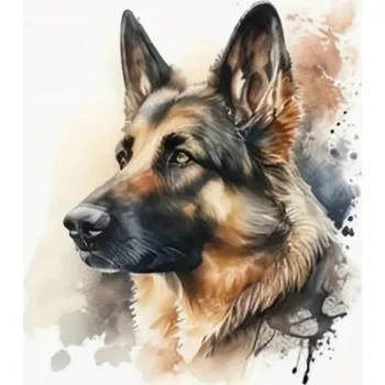 Obraz Norimpex Diamantová Výšivka Diamond Painting Mozaika Kreativní Sada 30 x 40 cm Lidé