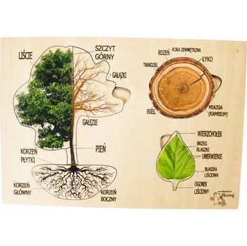 Dřevěná hračka Struktura stromu, dřevěná skládačka, lesní vzdělávání
