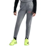Kalhoty Nike Dri-FIT Academy 25 Training Pants Kids hj3720-066 Velikost M (137-147 cm)