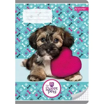 Sešit Sešit A5 s linkami Beniamin, 16 listů