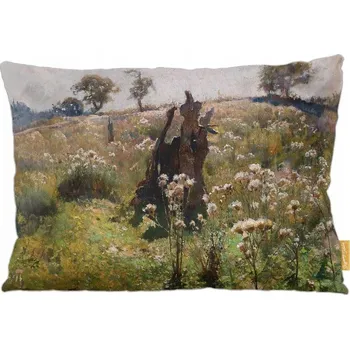 Polštář Polštář Bodiaki Jan Stanisławski