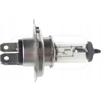 Autožárovka Žárovka RALLYE 489913000 H4 24V 100/90W - P43T-38, H4 24V100/90W-P43T-38