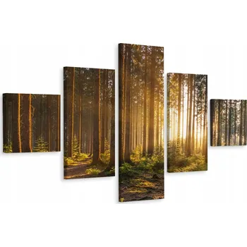 Obraz Vícedílný obraz ZÁPAD SLUNCE Krajina 200x120