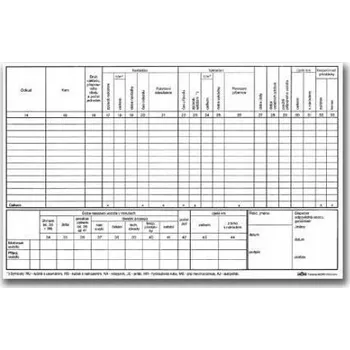 Tiskopis Akord záznam o provozu vozidla nákladní dopravy A4 blok 2 x 50 L