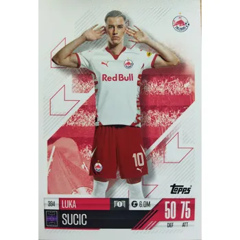 Karetní hra Luka Sučič