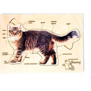 Dřevěná hračka Anatomie kočky – dřevěná skládačka, stavba těla kočky