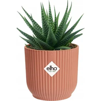 Obal na květináč Květináč plast růžový Elho 14 cm x 14 x 13 cm