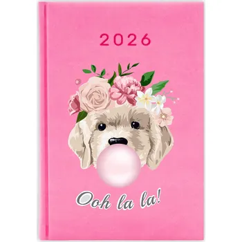 Kalendář Knižkový kalendář pro učitele 2026 A5, růžový